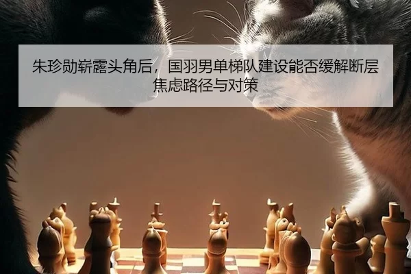 zhu-zhen-xun-zhan-lu-tou-jiao-hou-guo-yu-nan-dan-ti-dui-jian-she-neng-fou-huan-jie-duan-ceng-jiao-lv-lu-jing-yu-dui-ce-2-466.jpg